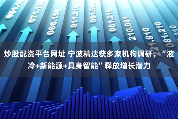 炒股配资平台网址 宁波精达获多家机构调研，“液冷+新能源+具身智能”释放增长潜力